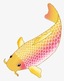 Pin Carp Clipart Coy - Transparent Koi Fish Clipart, HD Png Download, Free Download