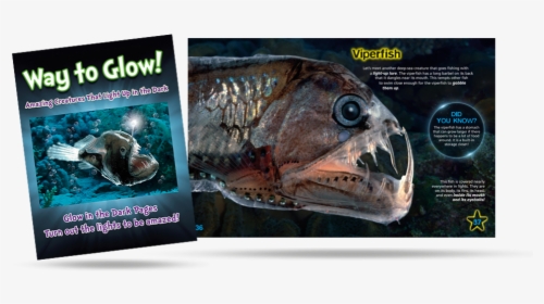 Carp , Png Download - Anglerfish, Transparent Png, Free Download