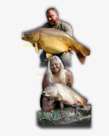 Mitch And Jane - Carp, HD Png Download, Free Download