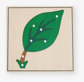 Puzzle- Materiales Escuela Montessori - Elm, HD Png Download, Free Download