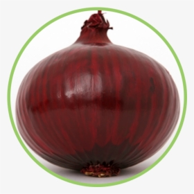 Red Onion Transparent Background, HD Png Download, Free Download