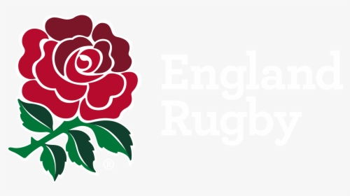 Thumb Image Red Rose England Rugby HD Png Download Kindpng
