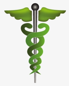 Cartoon Green Wings Icon Element - Logo De Medicina, HD Png Download, Free Download