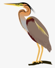 Birds Wikimedia Commons Png, Transparent Png, Free Download