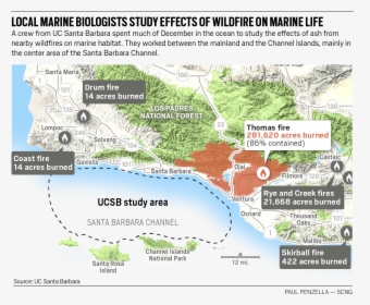 Ldn L Wildfire Oceans - Southern California Local Ecosystem, HD Png Download, Free Download