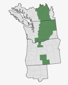 Poison Hemlock Pacific Northwest Range Map, HD Png Download, Free Download