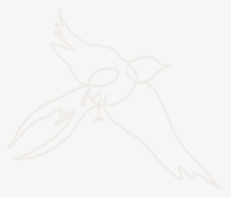 Kristin Cronic Bird Blush - Drawing, HD Png Download, Free Download