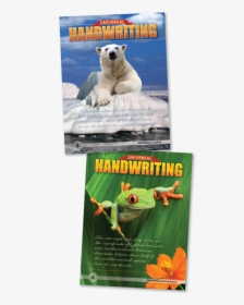 Polar Bear, HD Png Download, Free Download