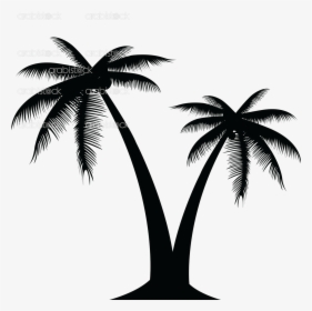 Px, File Size - Silhouette Coconut Tree Vector, HD Png Download, Free Download