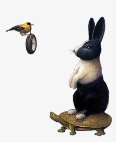 #surreal #rabbit #bird #watch #freetoedit - Domestic Rabbit, HD Png Download, Free Download