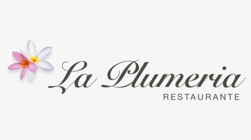 La Plumeria Restaurante Logo - Calligraphy, HD Png Download, Free Download