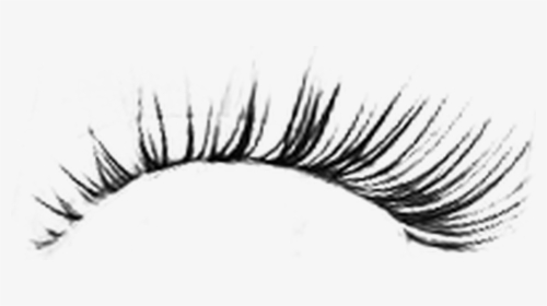#pestañas - Eyelashes For Photoshop, HD Png Download, Free Download