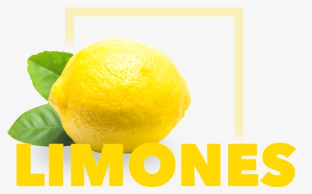 Lemon, HD Png Download, Free Download