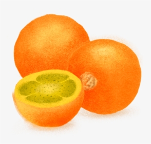 Pomelo, HD Png Download, Free Download