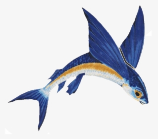 #flyingfish #freetoedit - Flying Fish Png, Transparent Png, Free Download