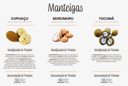 Oleos Site - Manteigas - Ivory, HD Png Download, Free Download
