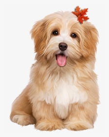 Dogs Sitting, HD Png Download, Free Download