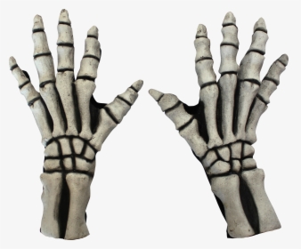 25316 - Skeleton Gloves, HD Png Download, Free Download