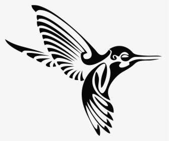 Coral Clipart Tribal - Hummingbirds Black And White, HD Png Download, Free Download