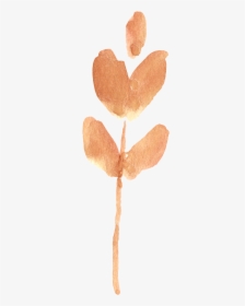 Fall Watercolor Png, Transparent Png, Free Download