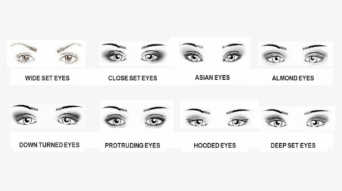 Different Eye Shapes, HD Png Download, Free Download