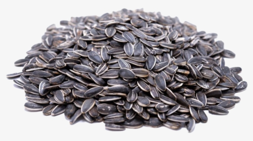 Sunflower Seeds, HD Png Download, Free Download