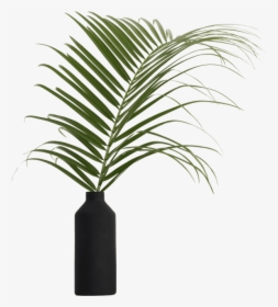 Objects - Houseplant, HD Png Download, Free Download