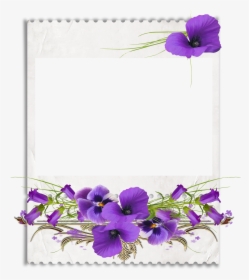 African Violets Clip Art - African Violet Clipart, HD Png Download, Free Download
