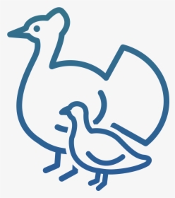 Icon Poultry & Egg Production - Duck, HD Png Download, Free Download