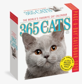 Cat Calendar Cover 2 "   Class="img Responsive Owl - Per Day Calendar Cats, HD Png Download, Free Download