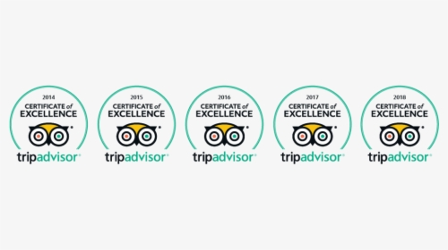 Picture - Trip Advisor 2017 2018 2019 Png, Transparent Png, Free Download