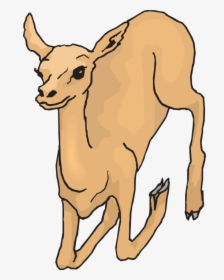 Deer Clipart , Png Download - Deer, Transparent Png, Free Download