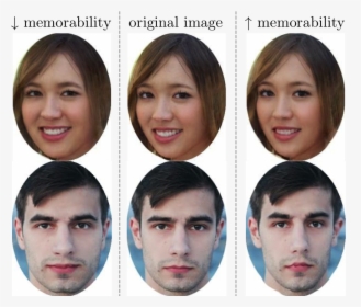 What Makes A Face More Memorable The Exact Features - Do People With Prosopagnosia See, HD Png Download, Free Download