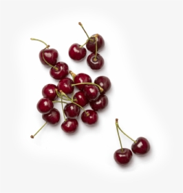 Cereza Png , Png Download - Cherry, Transparent Png, Free Download