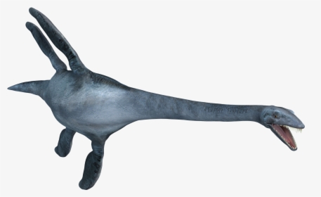 Thumb Image - Elasmosaurus Png, Transparent Png, Free Download