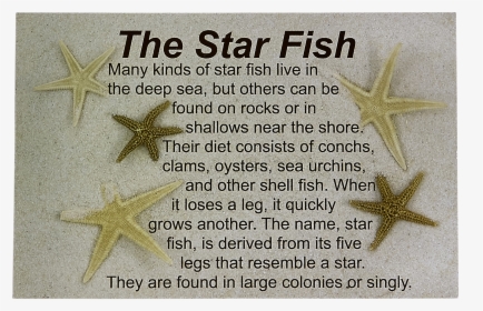 Legend Of The Sea Star Post Card - Jamaican Escovitch Fish, HD Png Download, Free Download