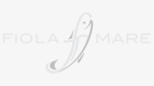 Fiola Mare Dc - Fiola Mare Logo, HD Png Download, Free Download