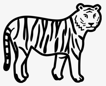 6 Pics Of Tiger Print Out Coloring Pages - Wild Animals Clipart Black And White, HD Png Download, Free Download