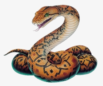 Snake Png Image - Snake Png, Transparent Png, Free Download