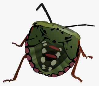 Bugs Vector Animated - Bug Clip Art, HD Png Download, Free Download