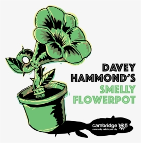 Smelly Flowerpot Radio Show Ident - Hawaiian Hibiscus, HD Png Download, Free Download
