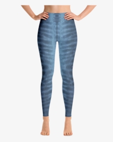 Tiger Print Png, Transparent Png, Free Download