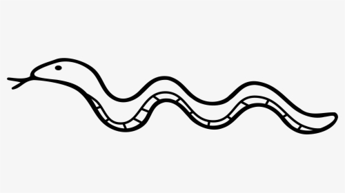 Snake Drawing Line - Long Snake Black And White, HD Png Download, Free Download