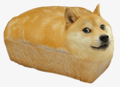 Doge Head Png - Doge Bread, Transparent Png, Free Download