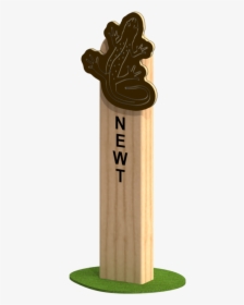 Newt - Wood - Wood, HD Png Download, Free Download
