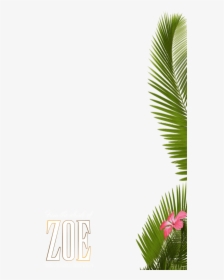 Transparent Snapchat - Palm Tree Filter Png, Png Download, Free Download