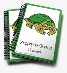 Snapping Turtle Color And Copywork - Caderno Do Neymar Tilibra, HD Png Download, Free Download