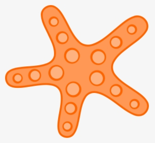 Star Fish Clip Art - Sea Star Clip Art, HD Png Download, Free Download