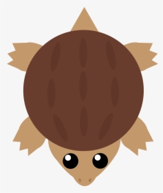 Transparent Turtle Cartoon Png - Cartoon Snapping Turtle, Png Download, Free Download