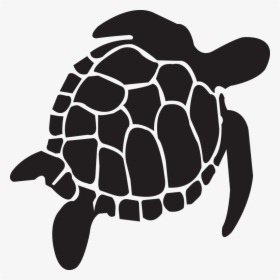 Tortoise Turtle Reptile Vector Graphics Portable Network - Sea Turtle Transparent Black, HD Png Download, Free Download